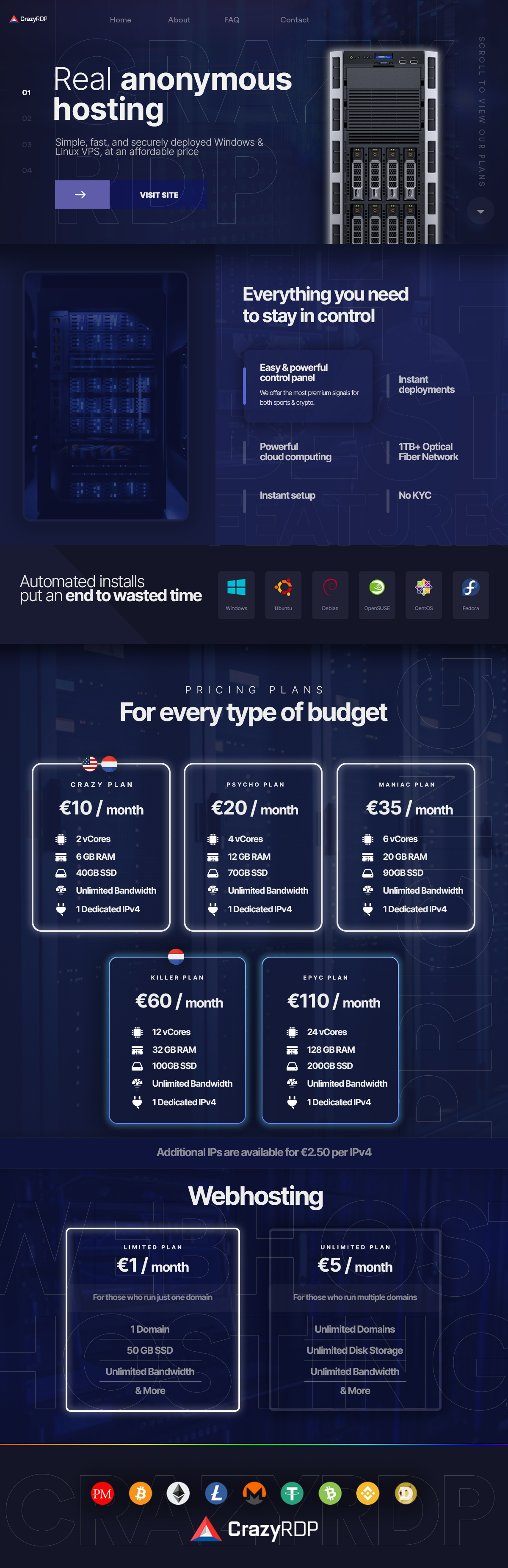 CrazyRDP web design preview