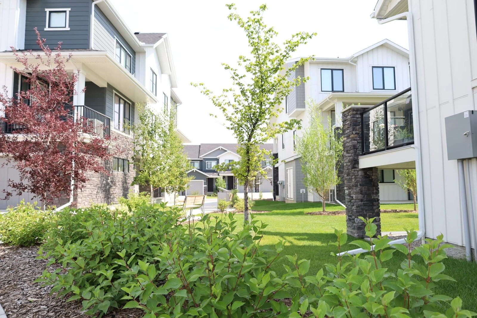 A planted courtyard featured on the Pi Design Group website